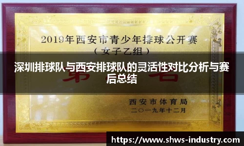 深圳排球队与西安排球队的灵活性对比分析与赛后总结